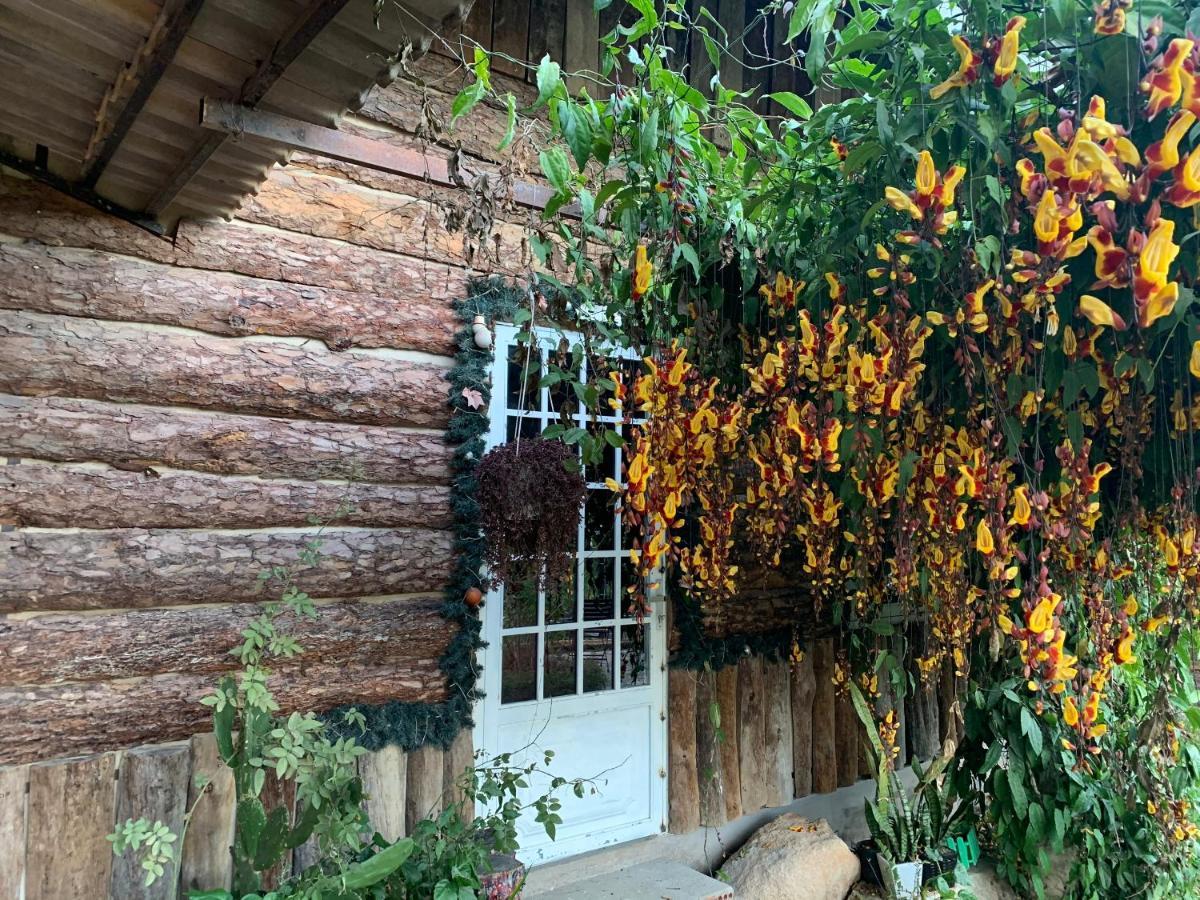 Hoa Son Village Dalat Eksteriør bilde
